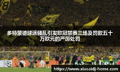多特蒙德球迷骚乱引发欧冠禁赛三场及罚款五十万欧元的严厉处罚